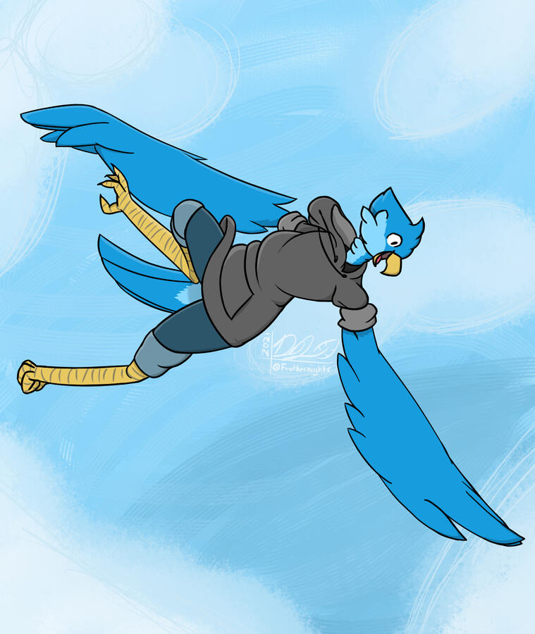 Bird Up Bird Up